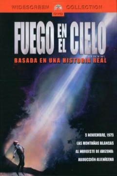 Ficha Fuego en el Cielo