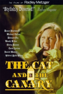 El Gato Y El Canario