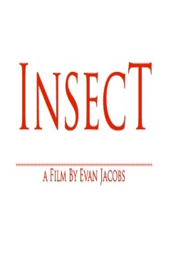 Poster Insect