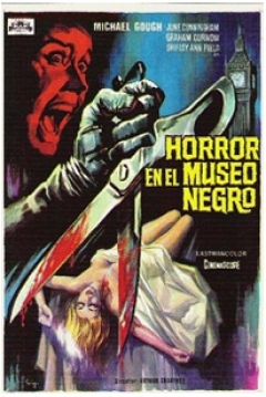 Ficha Horror En El Museo Negro