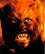 Poster Las Noches del Hombre Lobo