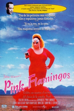 Poster Pink Flamingos