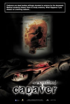 Poster Cadaver