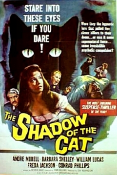 La Sombra del Gato