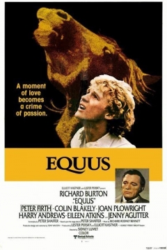 Poster Equus