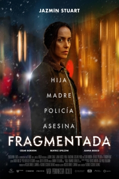 Poster Fragmentada