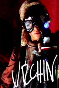 Poster Urchin