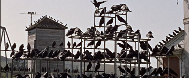 Los Pájaros ataque