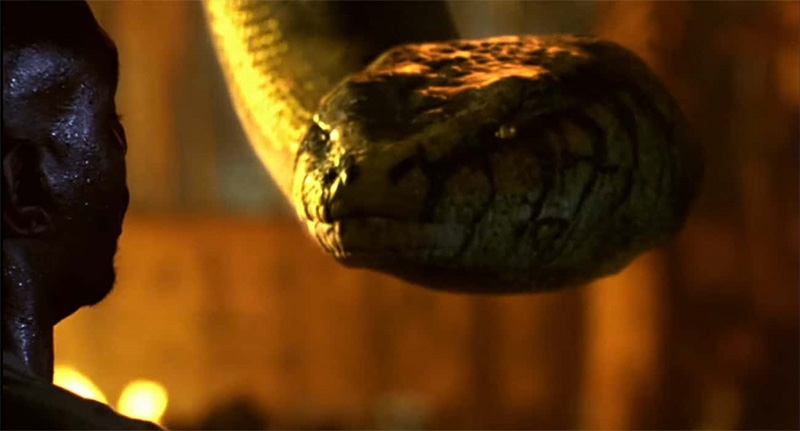 Anaconda La Caceria Por La Orquidea Sangrienta Anacondas: La Cacería por la Orquídea Sangrienta (Anaconda 2) (2004)
