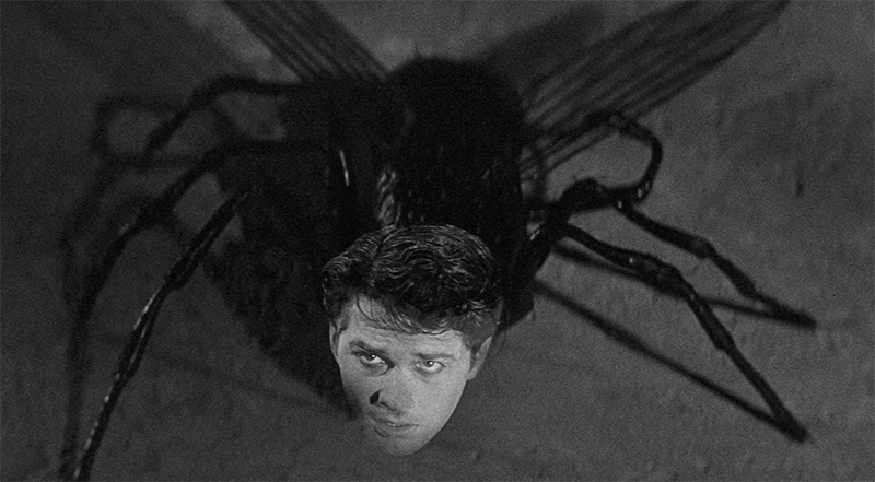 Final de El Regreso de la Mosca explicado