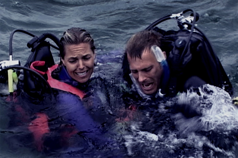 Final de Open Water explicado