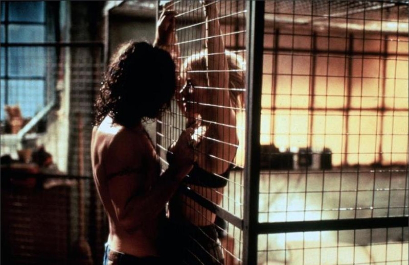 Final de Nunca Hables con Extraños explicado