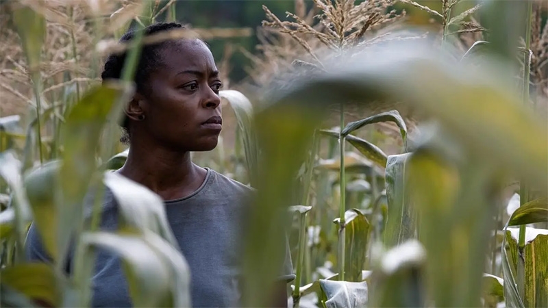 Final de 40 Acres explicado