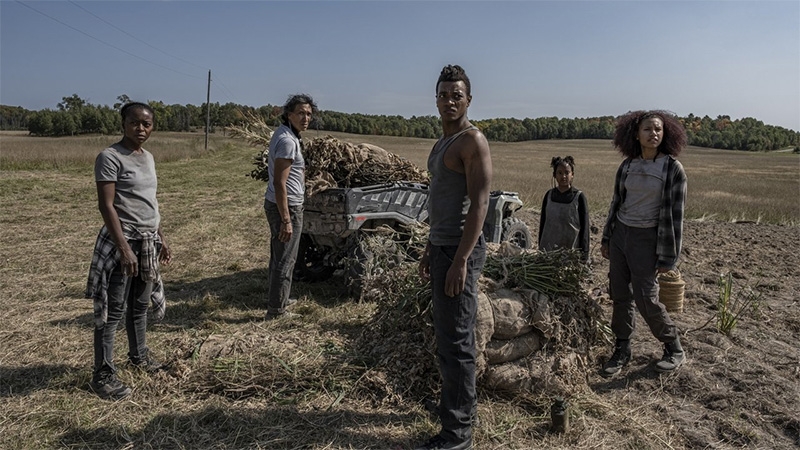 Final de 40 Acres explicado