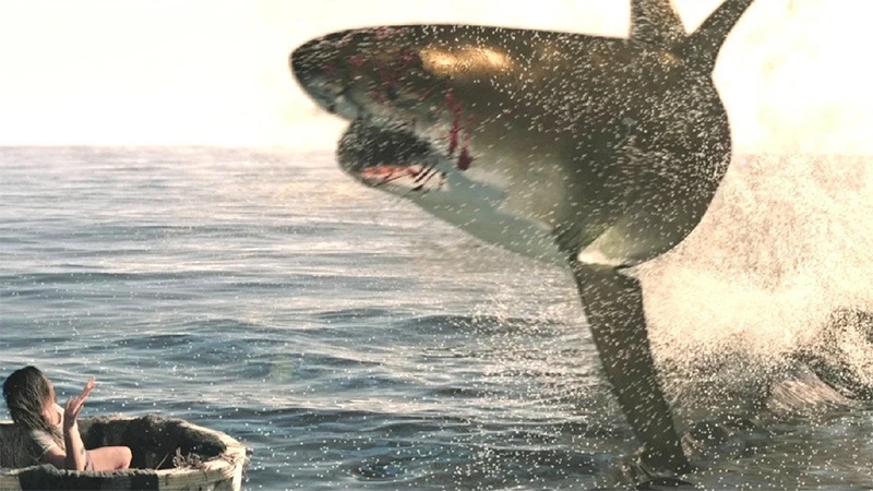 Final de Sharkwater explicado