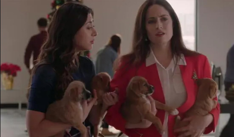 The 12 Pups of Christmas imagen