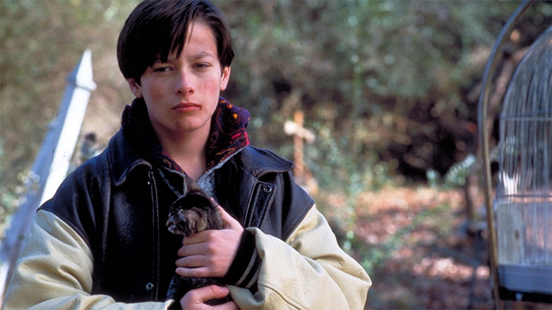 Cementerio viviente 2