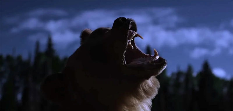 Final de Grizzly Night explicado