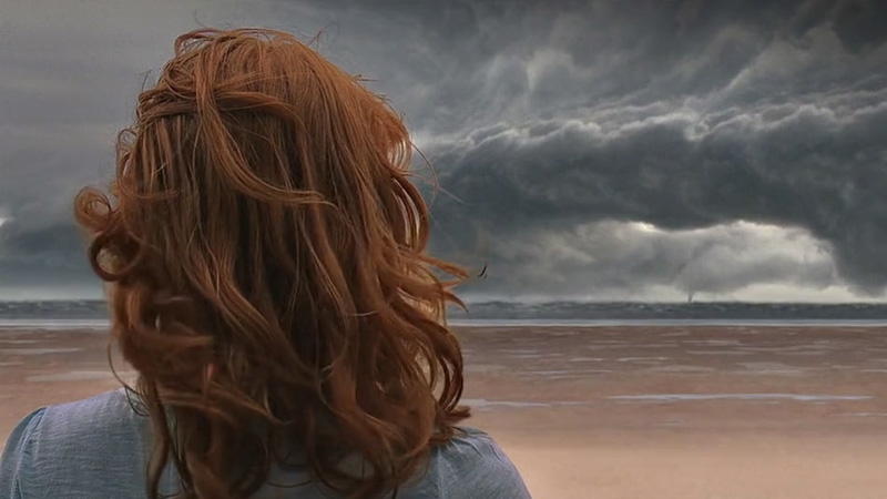Take Shelter