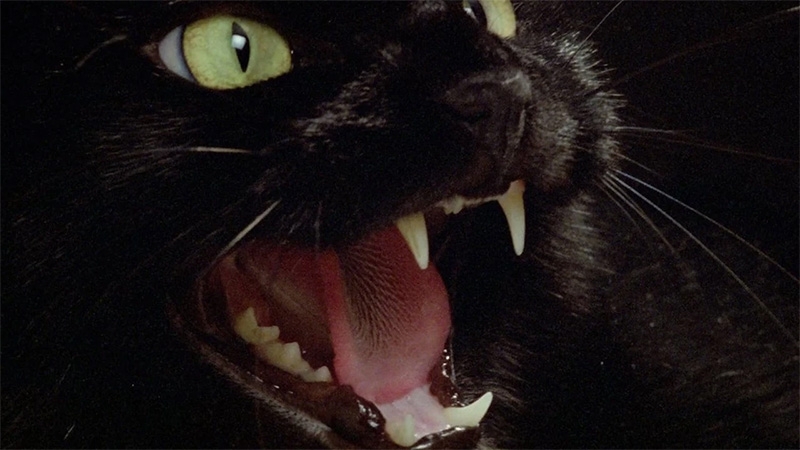 los ojos del diablo