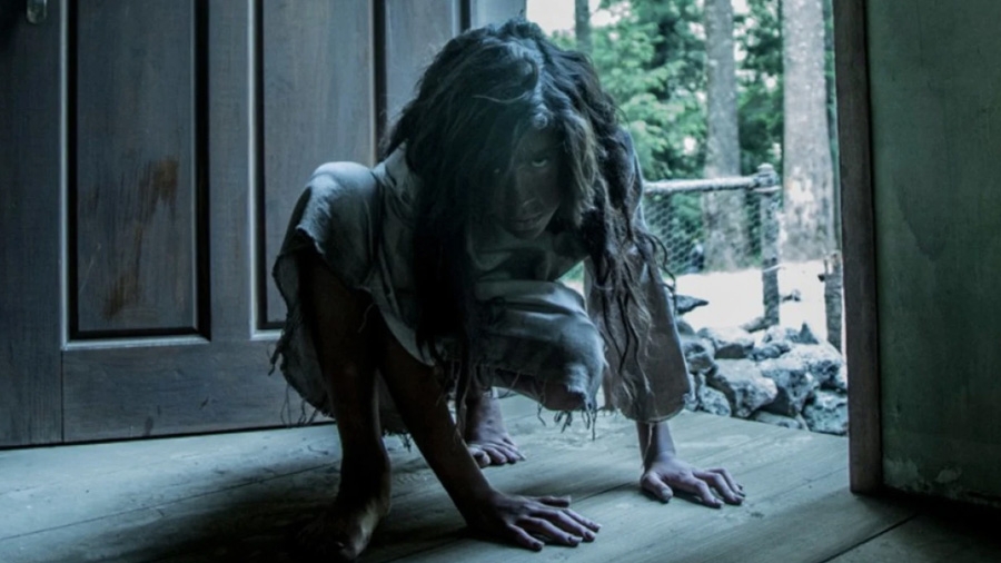 Feral