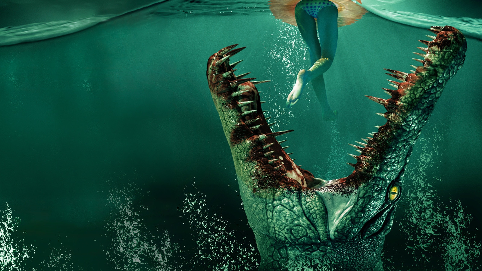 Croc!