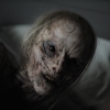 Haunt