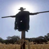 Jeepers Creepers
