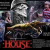 House: Una Casa Alucinante