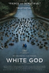 Dios Blanco (White God)
