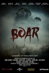 Boar