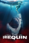 Sharkwater