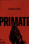 Primate