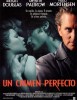 Un Crimen Perfecto