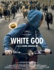 Dios Blanco (White God)