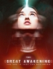 Póster de The Great Awakening