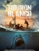 Tiburón Blanco: La Bestia del Mar