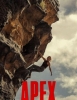 Apex