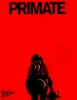 Primate