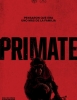 Primate