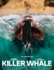 Killer Whale