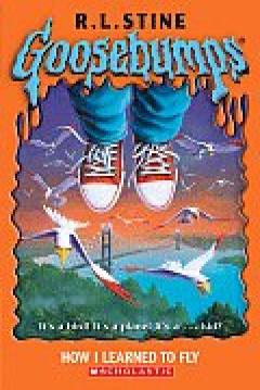 Poster Pesadillas: Como Aprendí A Volar