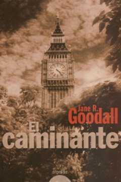 Poster El caminante