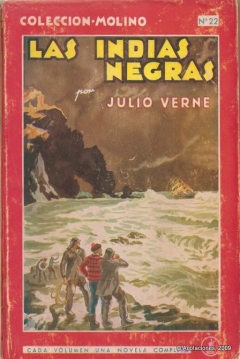 Poster Las Indias negras
