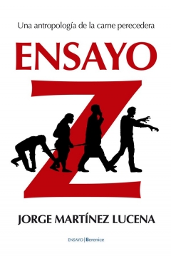 Ficha Ensayo Z