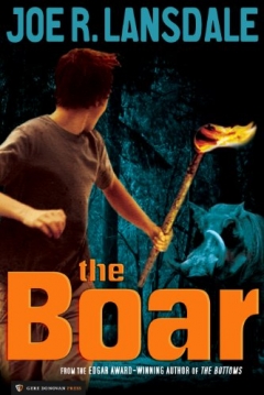 Poster The Boar