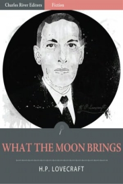 Poster Lo que Trae la Luna