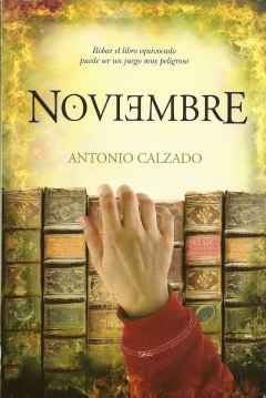 Poster Noviembre