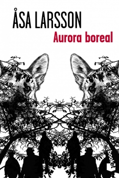 Poster Aurora Boreal