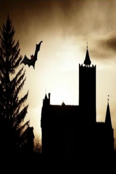 Poster La Orden Helsing